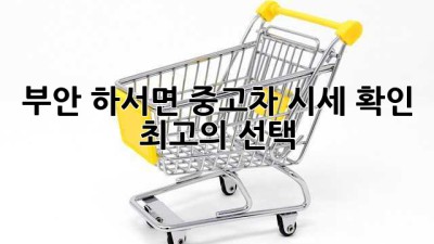 부안 하서면 중고차 시세 확인 & 최고의 선택